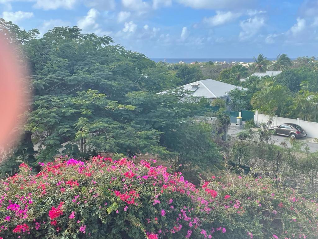 Villa Ste Marthe Avec Piscine, Grande Terrasse, Jardin Intime Et Citerne D'Eau Saint-Francois  Exterior photo